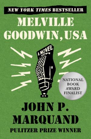 Cover of the book Melville Goodwin, USA by John Jakes