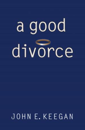 Cover of the book A Good Divorce by David Freed