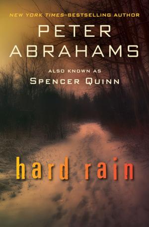 Cover of the book Hard Rain by Laura Dower