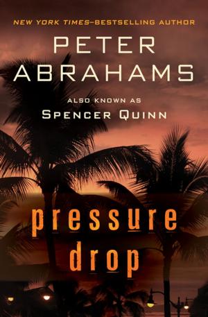Book cover of Pressure Drop