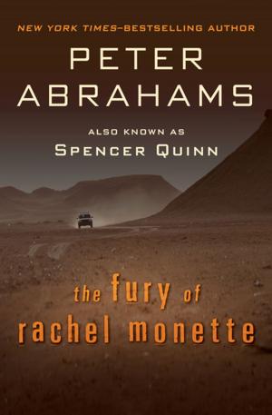 Book cover of The Fury of Rachel Monette