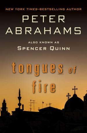 Book cover of Tongues of Fire