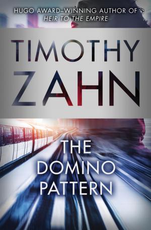Cover of the book The Domino Pattern by William Sleator