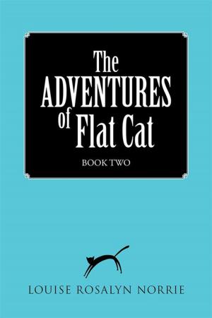 Cover of the book The Adventures of Flat Cat by Drift Walker