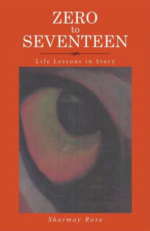 Cover of the book Zero to Seventeen by Amanda McDonough