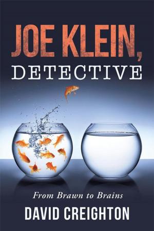 Book cover of Joe Klein, Detective