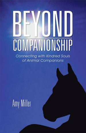 Cover of the book Beyond Companionship by Annica Frantz, Annalena Mellblom