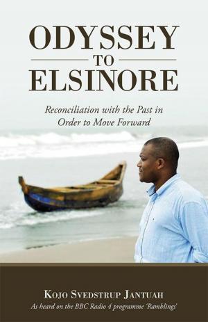 Cover of the book Odyssey to Elsinore by C. Toni Graham