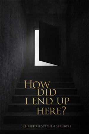 bigCover of the book How Did I End up Here? by 