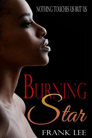 Cover of the book Burning Star by Selena Kitt