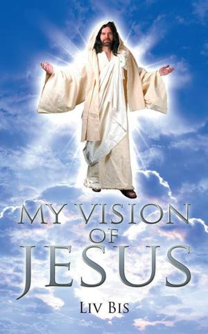 Cover of the book My Vision of Jesus by Karen Kingston