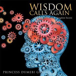 bigCover of the book Wisdom Calls Again by 