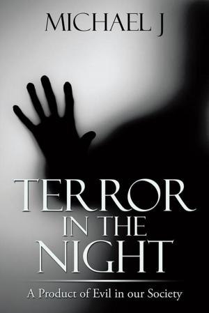 Cover of the book Terror in the Night by D. H. Crosby