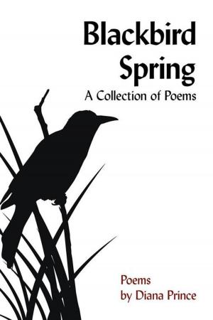 Cover of the book Blackbird Spring by Nona Fernández Silanes