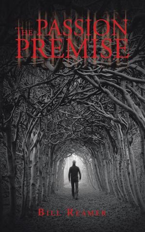 Book cover of The Passion Premise