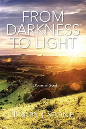 Cover of the book From Darkness to Light by Rick Johnston