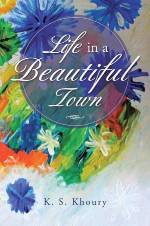 Cover of the book Life in a Beautiful Town by Dr. Nonyelum Chibuzo Mba