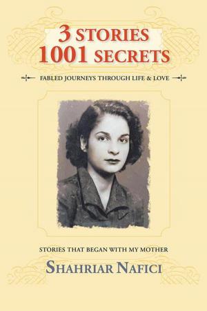 Cover of the book 3 Stories 1001 Secrets by Amy Johnson