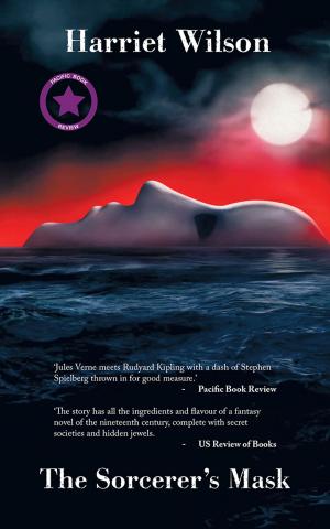Cover of the book The Sorcerer's Mask by Helen Smith