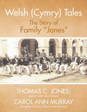 Book cover of Welsh (Cymry) Tales