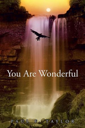 Cover of the book You Are Wonderful by Shoshana Kobrin