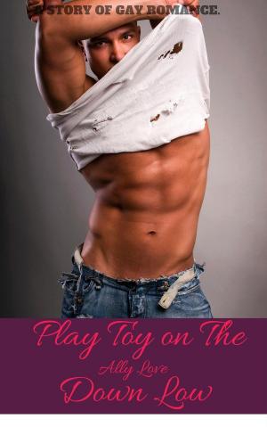 Cover of the book Play Toy On The Down Low by Magda Alexander