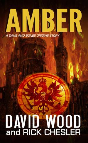 Cover of the book Amber- A Dane and Bones Origin Story by Jim Bernheimer