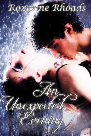 Cover of the book An Unexpected Evening by Roxanne Rhoads