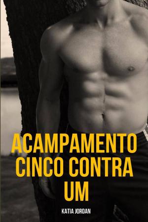Cover of the book Acampamento Cinco Contra Um by Tommy Tickler