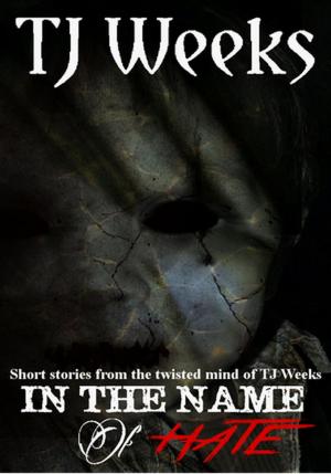 Cover of the book In The Name Of Hate by TJ Weeks, Kris Weeks