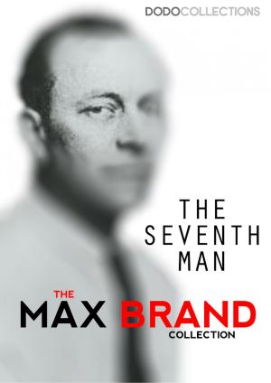 Book cover of The Seventh Man