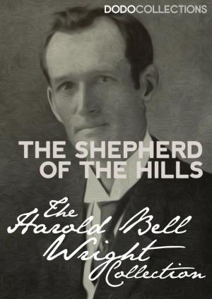 Book cover of The Shepherd of the Hills