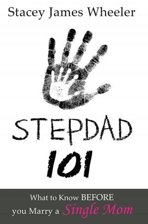Cover of the book Stepdad 101 by Vince McKee