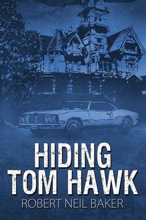 Book cover of Hiding Tom Hawk