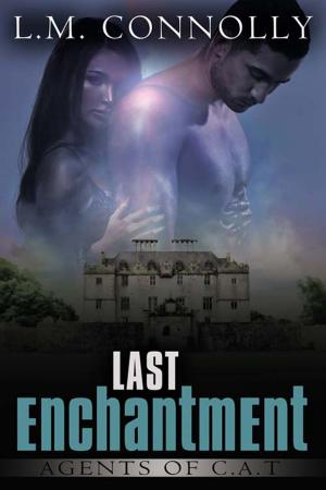 Cover of the book Last Enchantment by J L Wilson