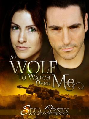 Cover of the book A Wolf to Watch Over Me by Barbara Griffin Villemez