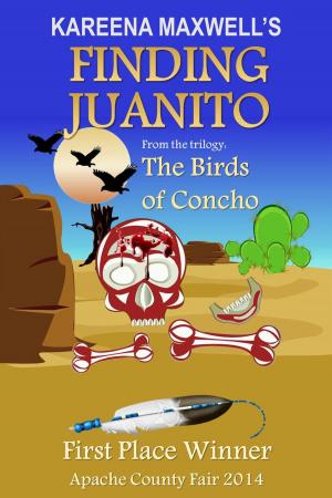 Book cover of Finding Juanito: Native American Fiction