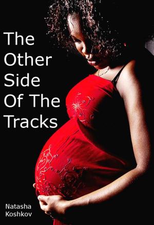 Cover of the book The Other Side of The Tracks by Alex Krane