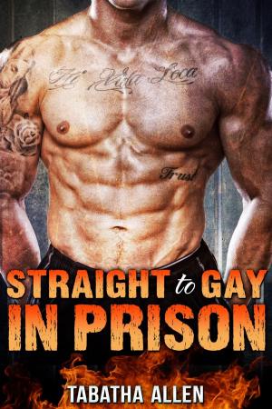 Cover of the book Straight to Gay in Prison by Penelope L'Amoreaux