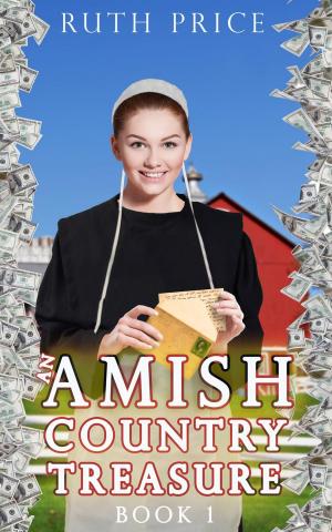Cover of the book An Amish Country Treasure by Rebecca Price