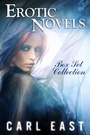 Cover of the book Erotic Novels Box Set Collection by Carl East