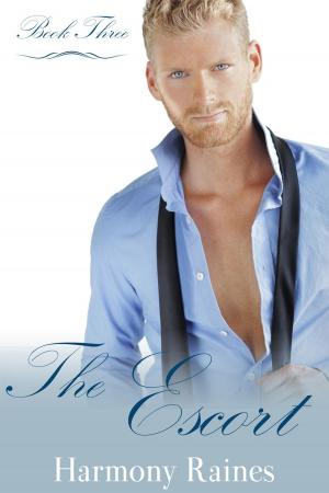 Cover of the book The Escort by Eve Silver