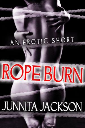 Cover of the book Rope Burn by samson wong