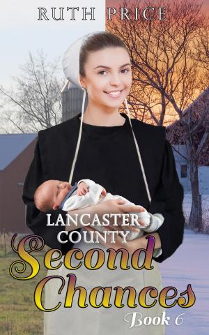 Cover of the book Lancaster County Second Chances 6 by Kiera Zane