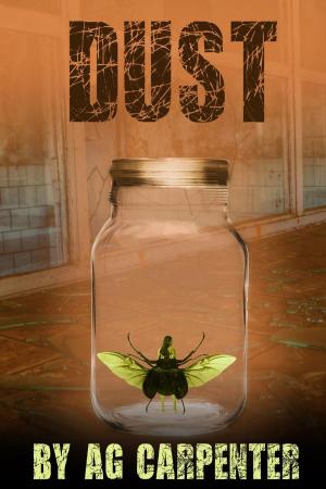Cover of the book Dust by Meredith Rose