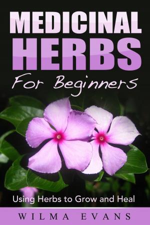 Cover of the book Medicinal Herbs For Beginners: Using Herbs to Grow and Heal by eon foster