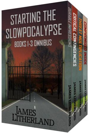 Book cover of Starting the Slowpocalypse