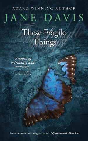 Cover of the book These Fragile Things by R. B. Baxter