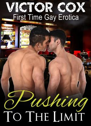 Book cover of Pushing to the Limit