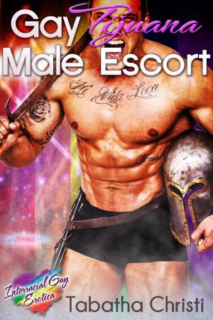 Cover of Gay Tijuana Male Escort